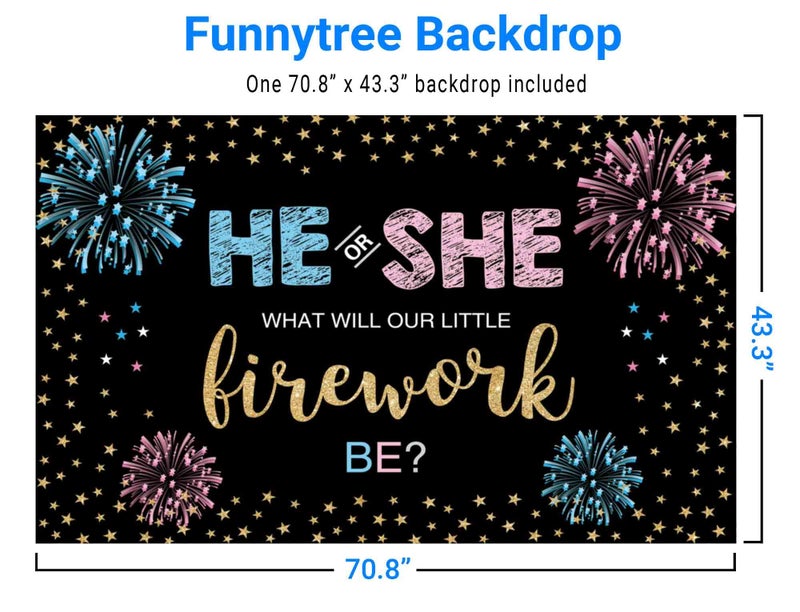 Funnytree Gender Reveal Backdrop He or She Party Fourth of July Blue or Pink Boy or Girl Banner Decoration Stars Photography Background Photobooth Supplies Prop - Image 2